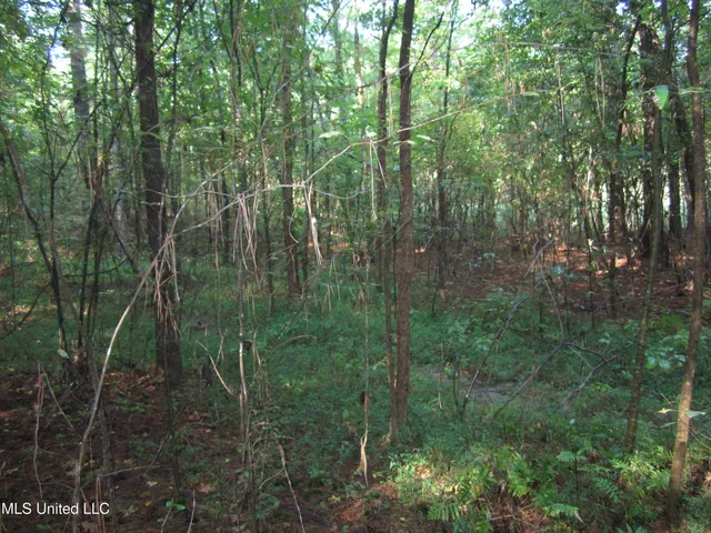 $89,500 | 301 Cr Walnut Ms 38683, Tiplersville, MS 38674