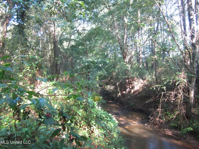 $89,500 | 301 Cr Walnut Ms 38683, Tiplersville, MS 38674