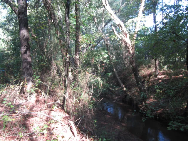 $89,500 | 301 Cr Walnut Ms 38683, Tiplersville, MS 38674