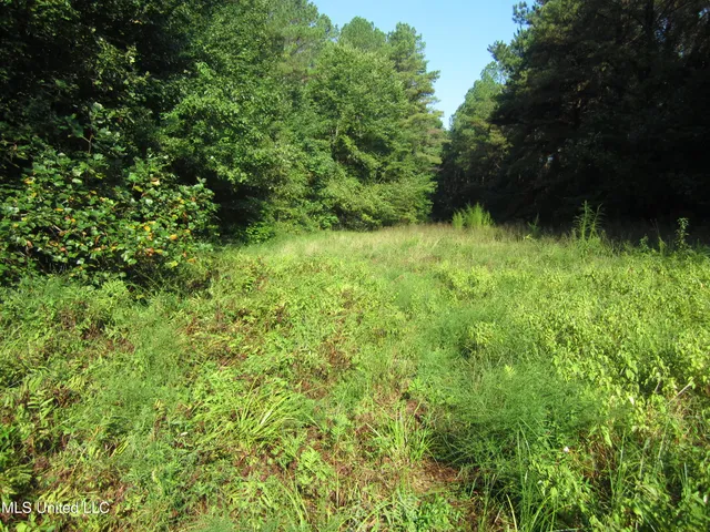 $89,500 | 301 Cr Walnut Ms 38683, Tiplersville, MS 38674