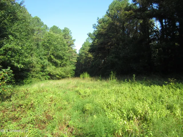 $89,500 | 301 Cr Walnut Ms 38683, Tiplersville, MS 38674