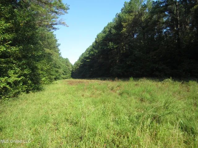 $89,500 | 301 Cr Walnut Ms 38683, Tiplersville, MS 38674