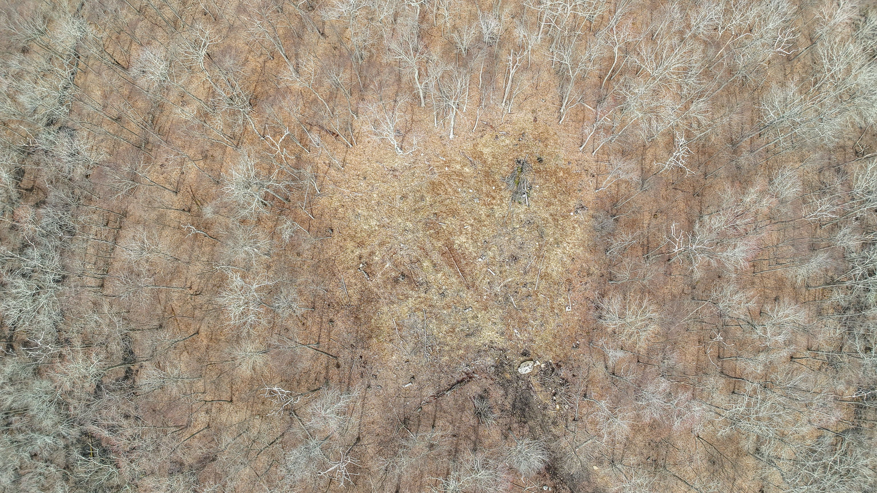 Lot 12-1 Tripp Hollow Road Brooklyn, CT 06234 - Photo 4 of 7 a close up of a white marble wall