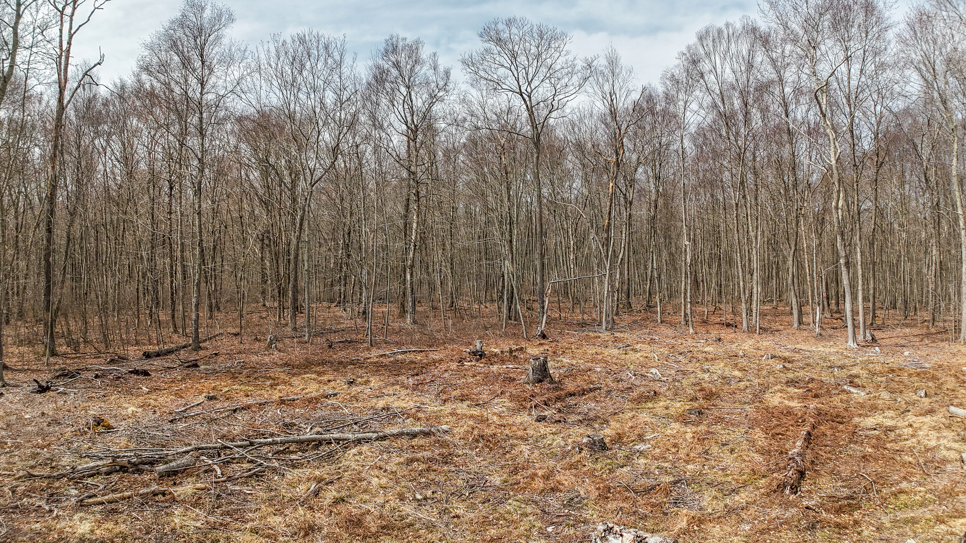 Lot 12-1 Tripp Hollow Road Brooklyn, CT 06234 - Photo 5 of 7 a view of sink with trees in the background