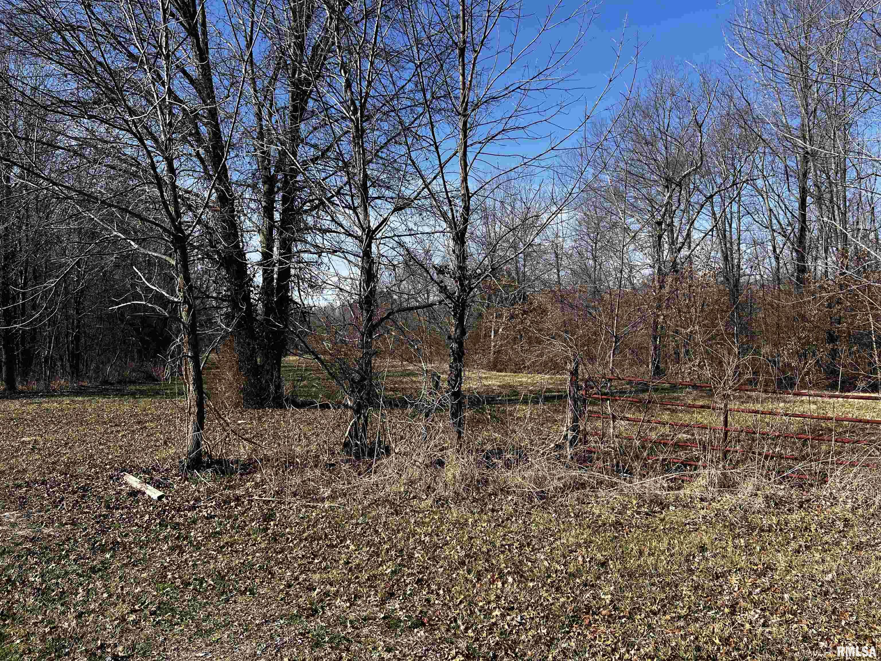 705 East Everett Street Marion, IL 62959 - Photo 3 of 8