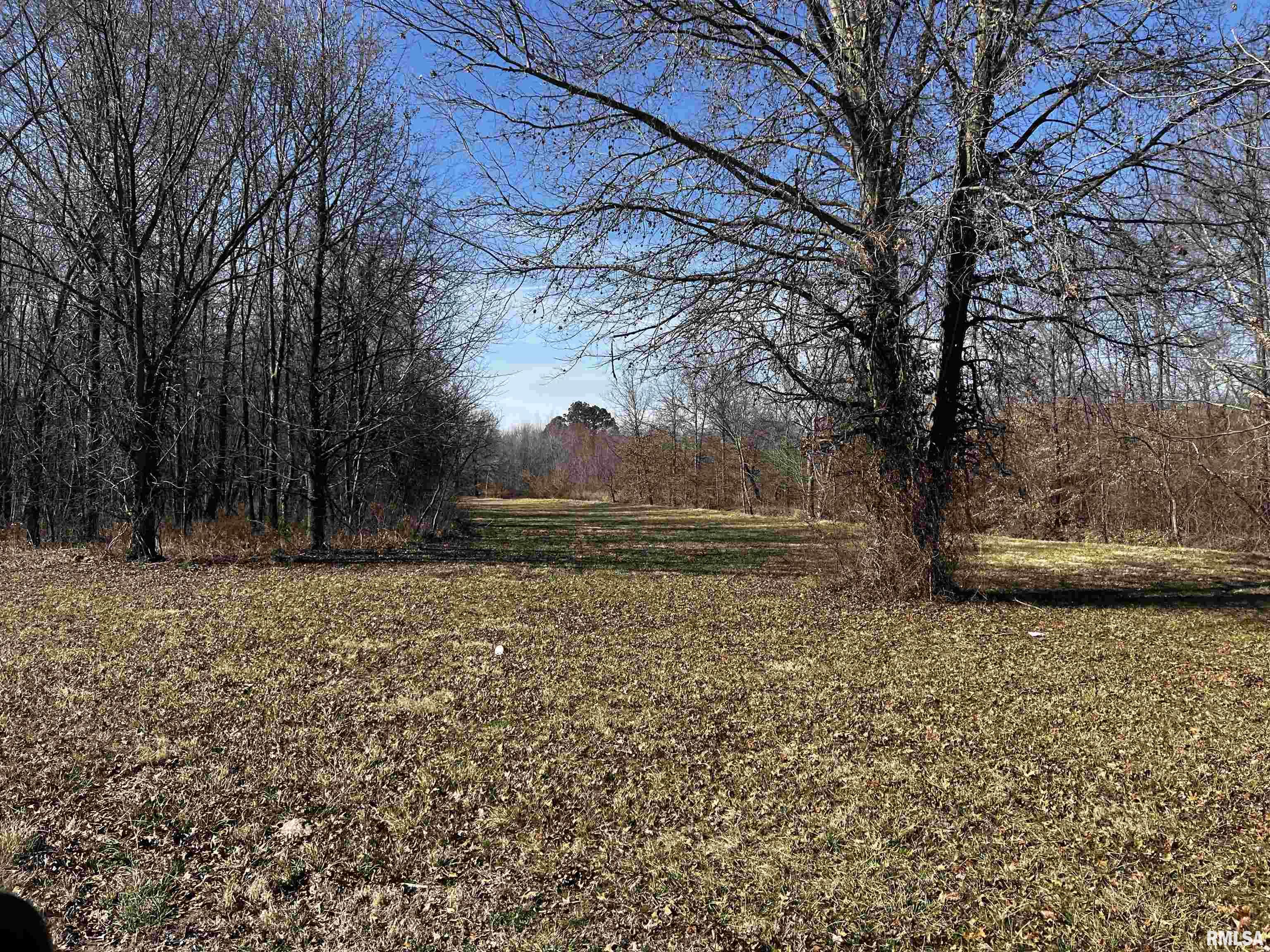 705 East Everett Street Marion, IL 62959 - Photo 5 of 8