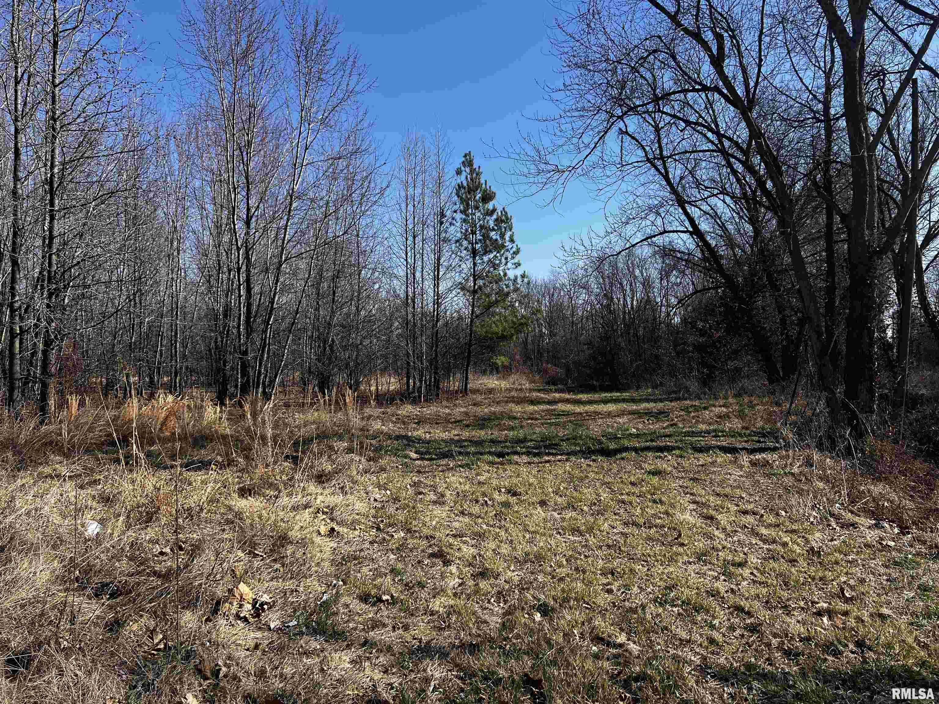 705 East Everett Street Marion, IL 62959 - Photo 6 of 8