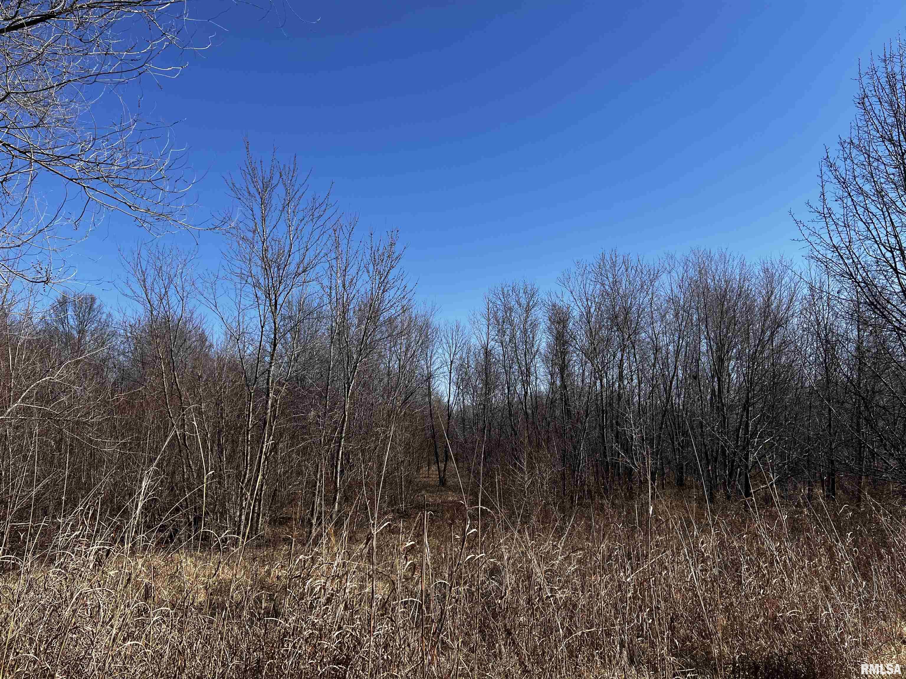 705 East Everett Street Marion, IL 62959 - Photo 7 of 8