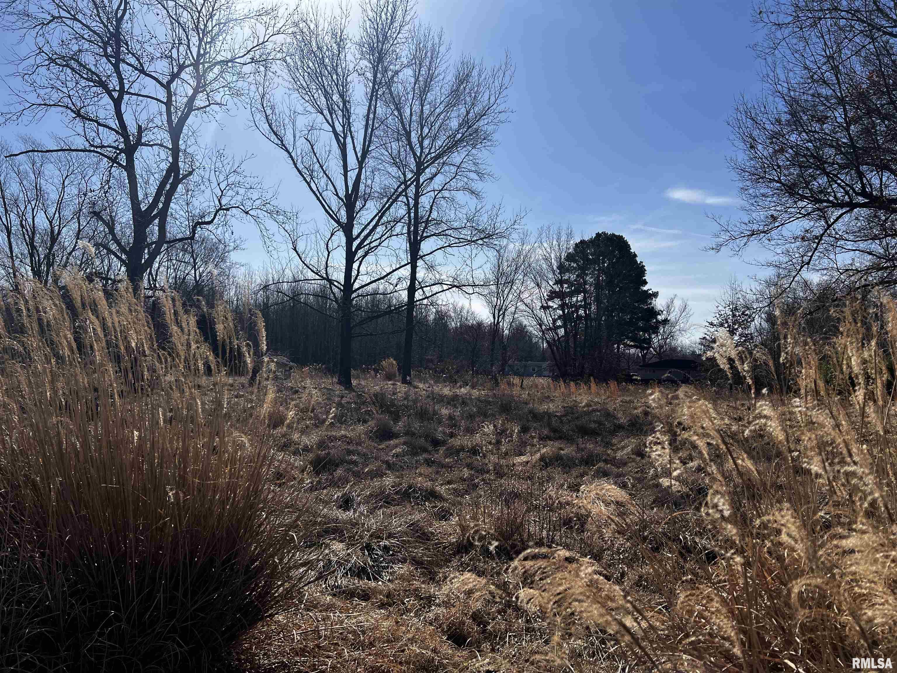 705 East Everett Street Marion, IL 62959 - Photo 8 of 8