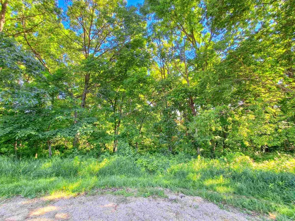 $1 | 16-31 Elmhurst Court, Lake Carroll, IL 61046