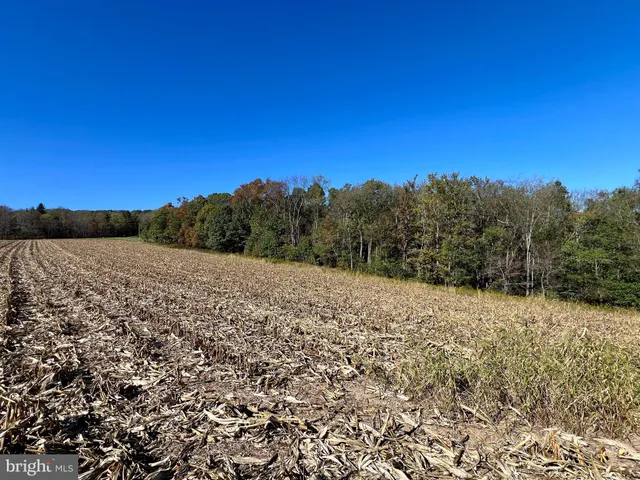 $175,000 | Lot 1 Anderson Road, Schellsburg, PA 15559