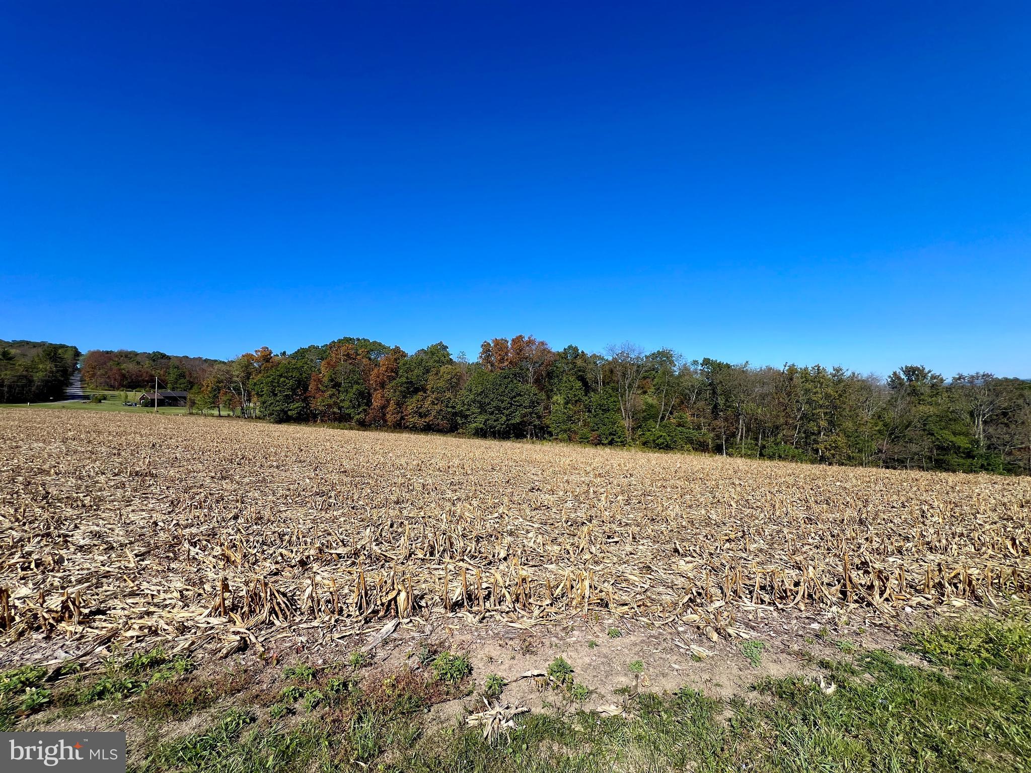 Lot 1 Anderson Road Schellsburg, PA 15559 - Photo 14 of 17 a view of an outdoor space and a yard