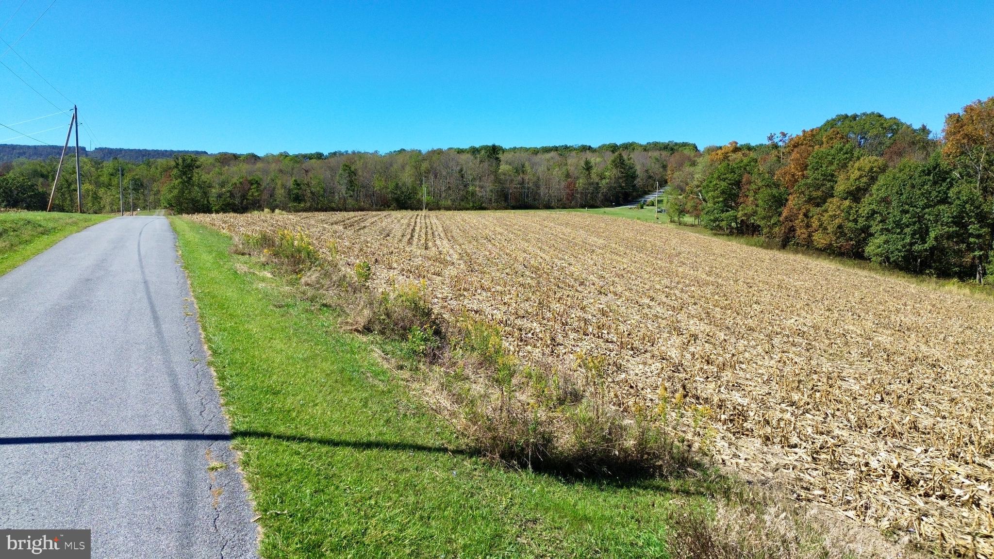 Lot 1 Anderson Road Schellsburg, PA 15559 - Photo 17 of 17 a view of a back yard