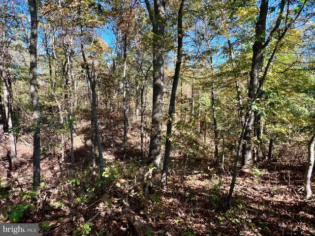 $175,000 | Lot 1 Anderson Road, Schellsburg, PA 15559