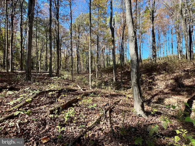 $175,000 | Lot 1 Anderson Road, Schellsburg, PA 15559