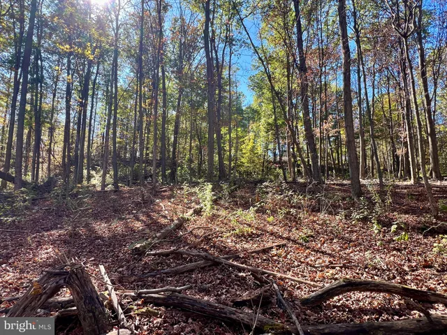 $175,000 | Lot 1 Anderson Road, Schellsburg, PA 15559