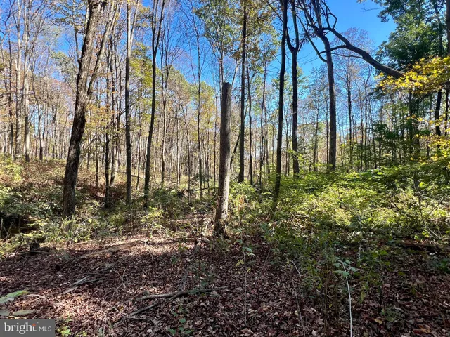 $175,000 | Lot 1 Anderson Road, Schellsburg, PA 15559