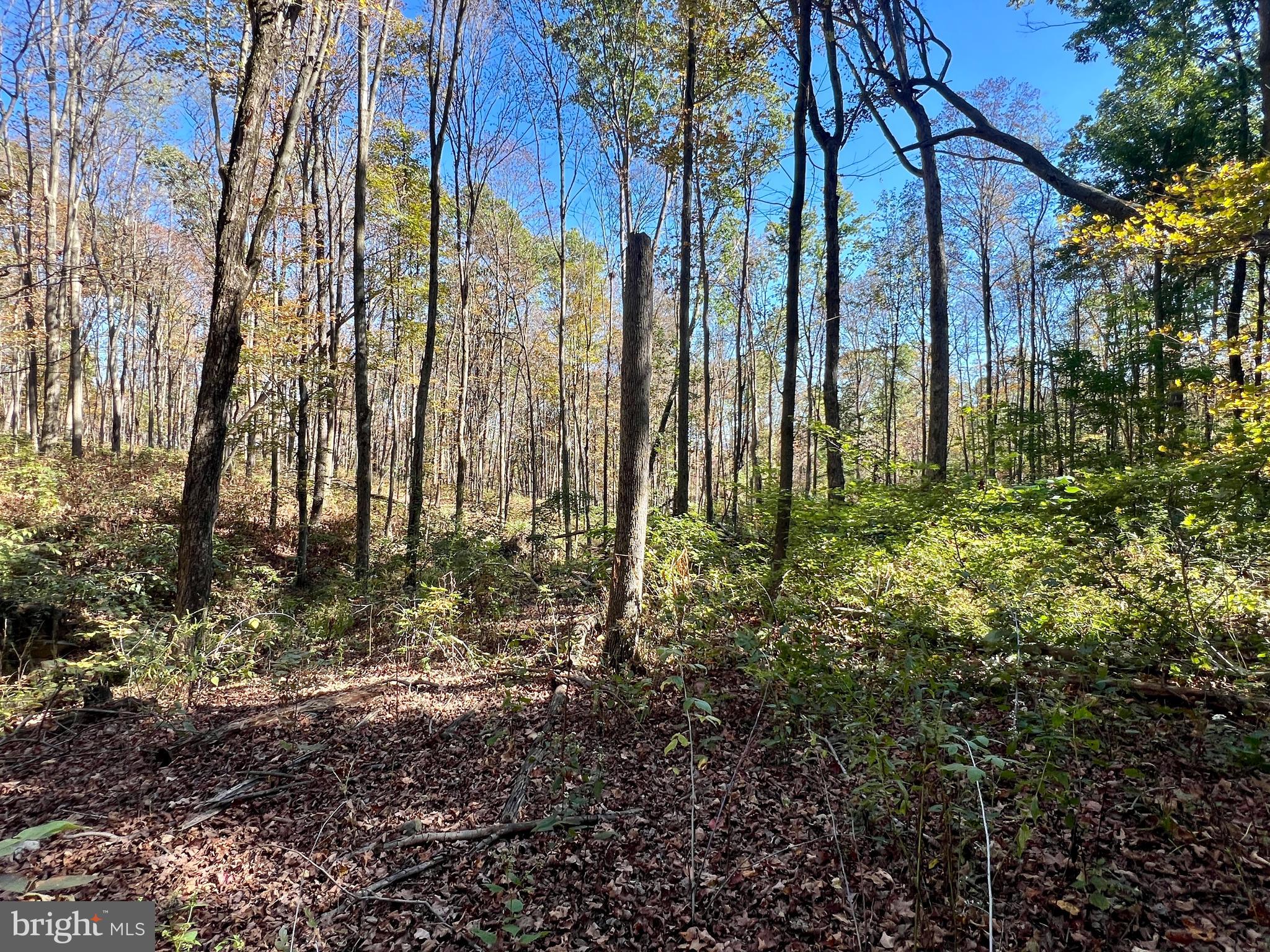 Lot 1 Anderson Road Schellsburg, PA 15559 - Photo 6 of 17 a backyard of a house with lots of green space
