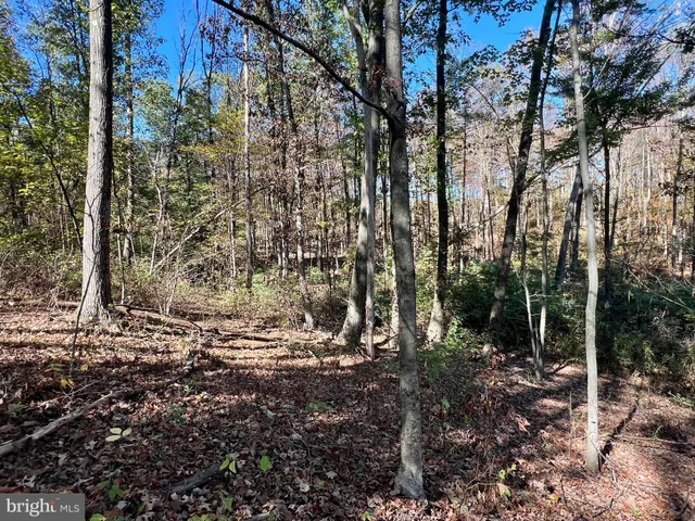 $175,000 | Lot 1 Anderson Road, Schellsburg, PA 15559