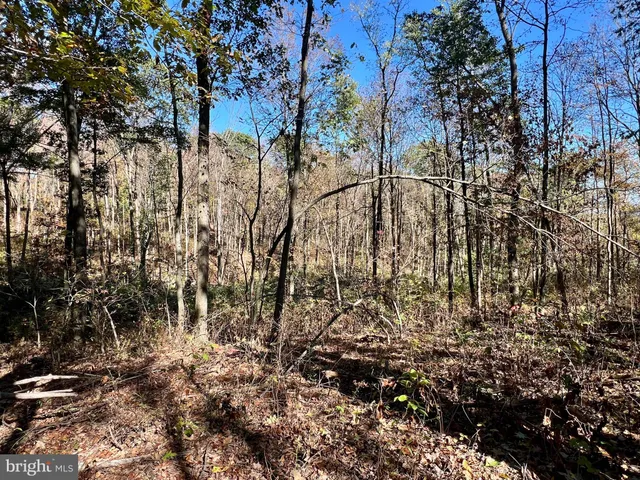 $175,000 | Lot 1 Anderson Road, Schellsburg, PA 15559