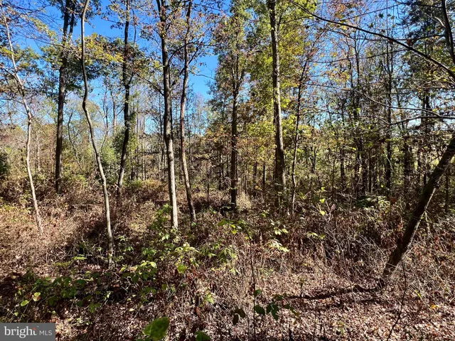 $175,000 | Lot 1 Anderson Road, Schellsburg, PA 15559