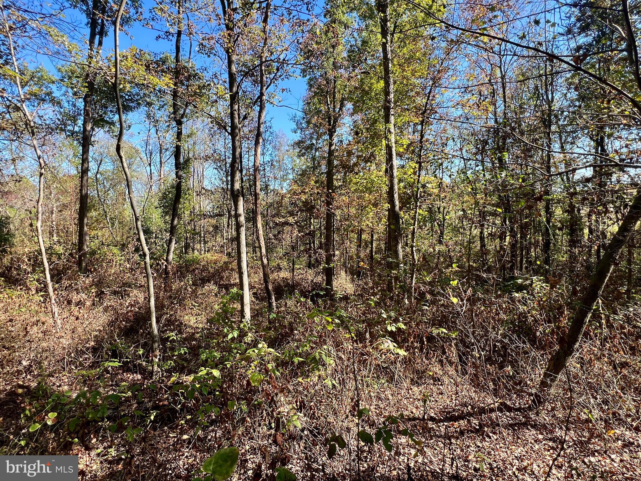 Lot 1 Anderson Road Schellsburg, PA 15559 - Photo 9 of 17 a view of a yard
