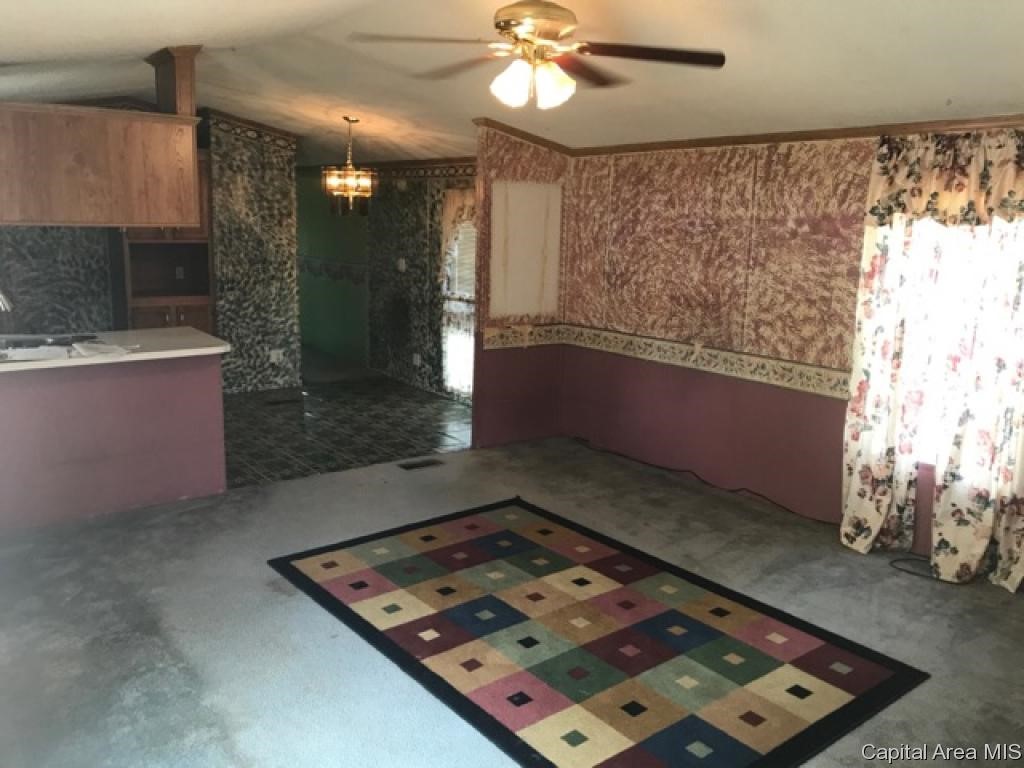 417 East Franklin Street Roodhouse, IL 62082 - Photo 3 of 8