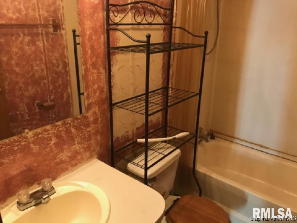 417 East Franklin Street Roodhouse, IL 62082 - Photo 5 of 8