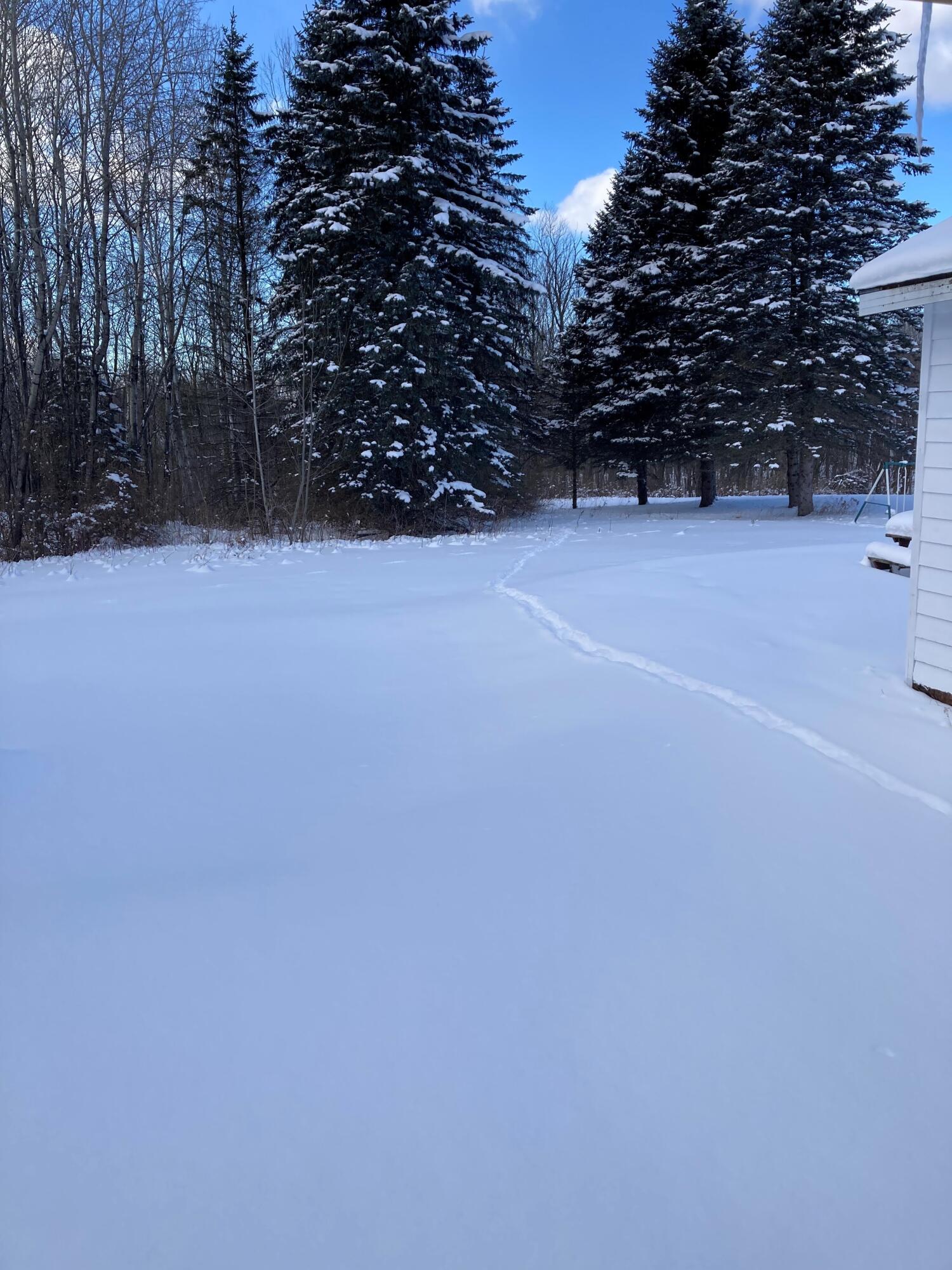 17 Cemetery Road Brushton, NY 12916 - Photo 3 of 22 Yard