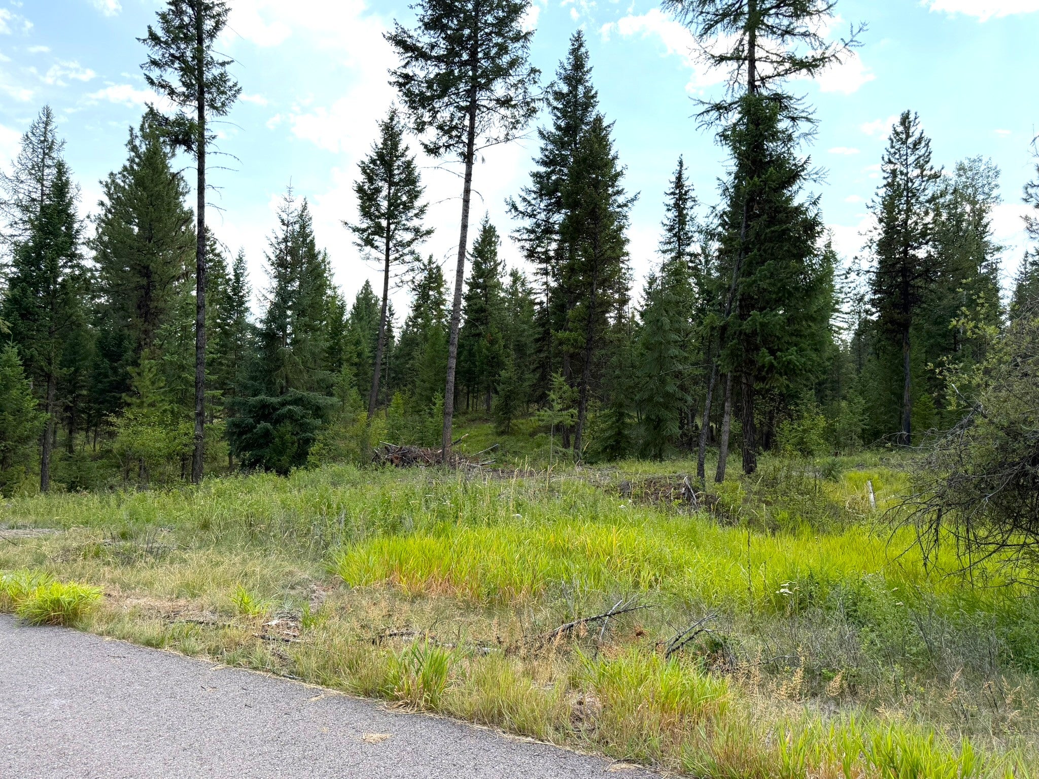 422 Haskill Rnch Road, Unit LOT30 Kila, MT 59920 - Photo 6 of 11 Gallery Image 6