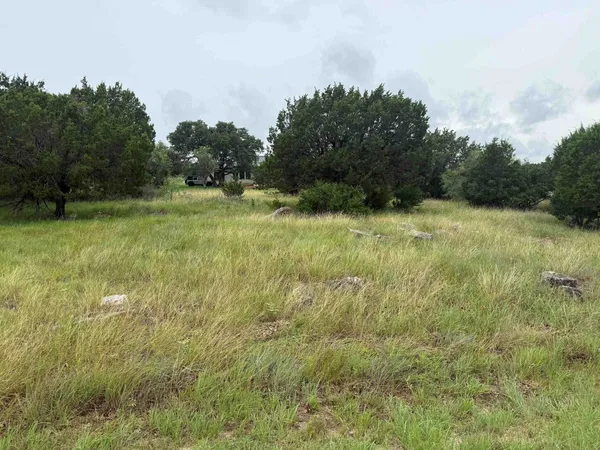 a view of a big yard with large trees