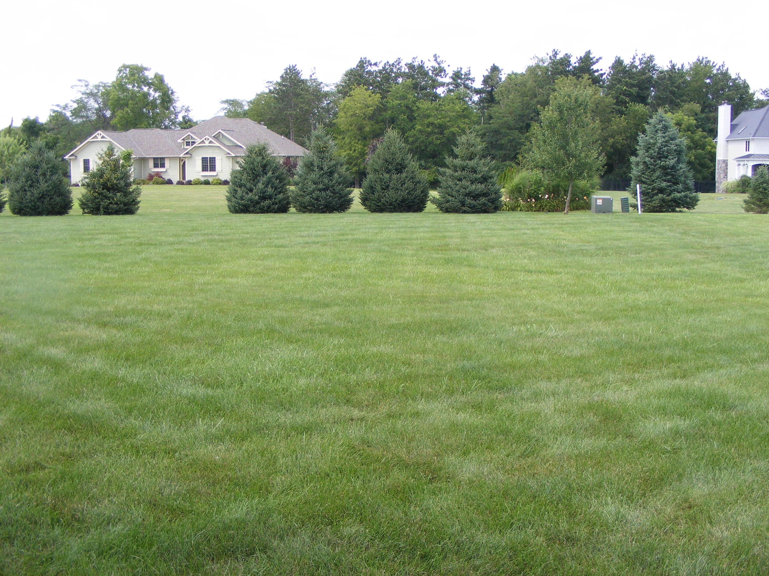 4233 Curve Road Delaware, OH 43015 - Photo 46 of 47
