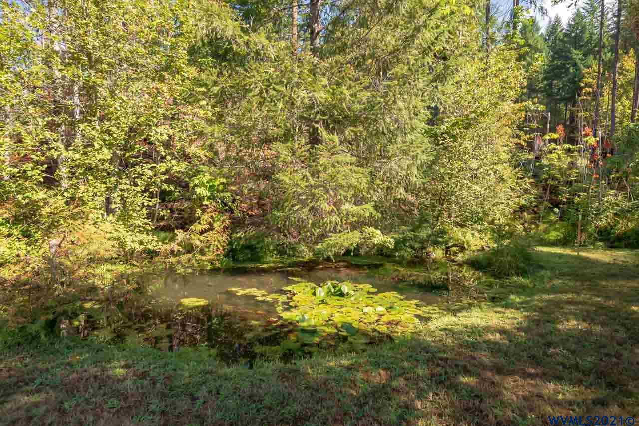 285 Humbug Street Detroit, OR 97342 - Photo 8 of 12