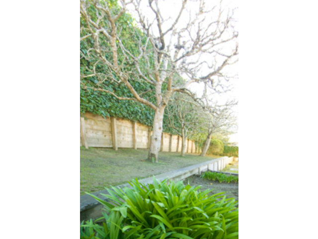 191 Greenbrier Drive Aptos, CA 95003 - Photo 7 of 19 a picture of a yard