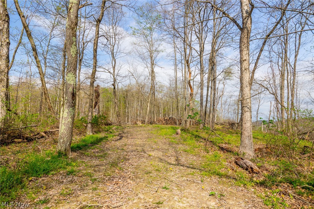 0 Twp Road, Unit 4 Whipple, OH 45788 - Photo 10 of 10