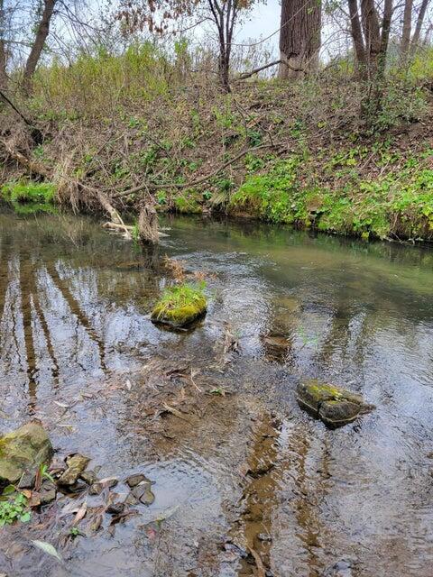 865 Highway 61 Readstown, WI 54652 - Photo 25 of 26 20251030154414977716000000-o