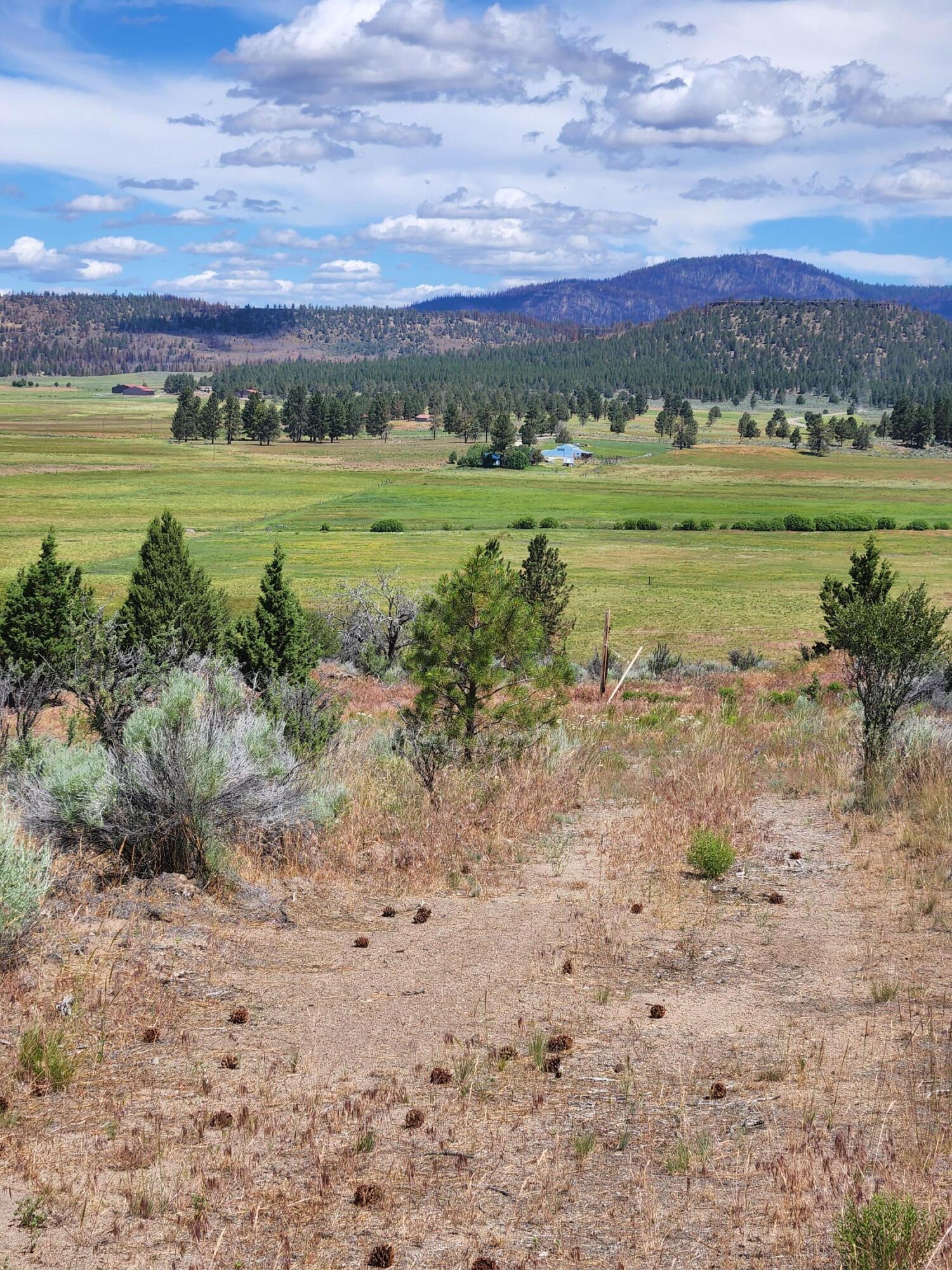 Lot 10 Quarry Circle Beatty, OR 97621 - Photo 9 of 12 Quarry L10