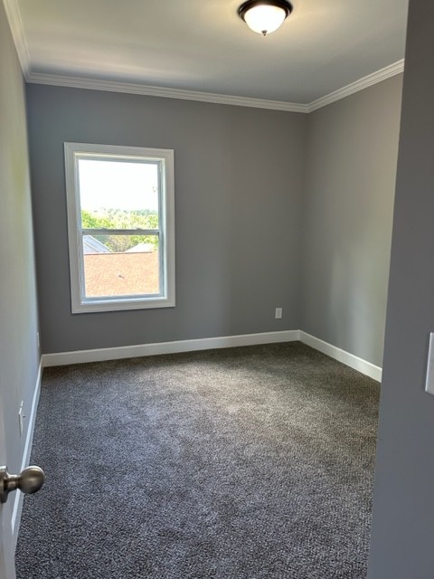 4347 Old Goins Road Nashville, TN 37211 - Photo 22 of 34 Gallery Image 22