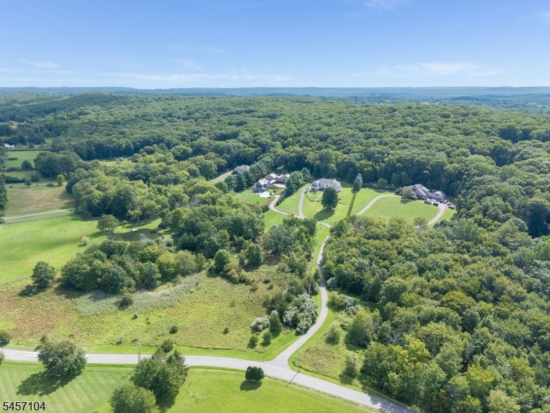 91 Frog Hollow Road Califon, NJ 07830 - Photo 38 of 48 Gallery Image 38