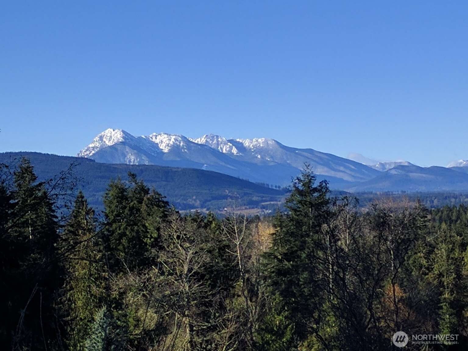 823 Fox Hollow Road Sequim, WA 98382 - Photo 4 of 34 Gallery Image 4