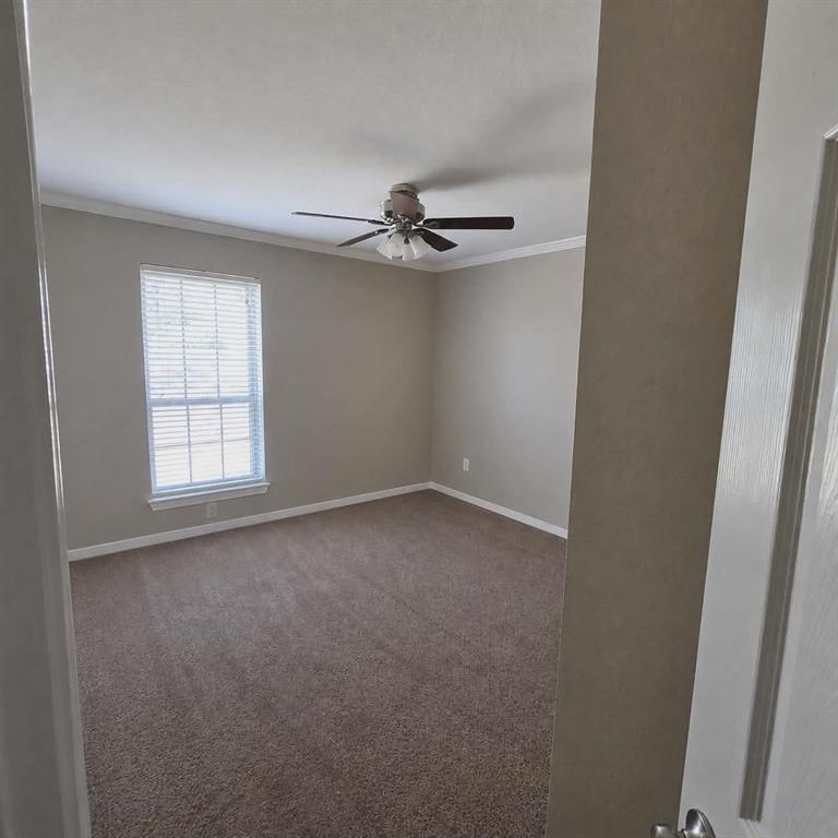 14752 Ranch Road Forney, TX 75126 - Photo 23 of 40 Bedroom 2- Carpeted interior space featuring a window with horizontal blinds, a ceiling fan with light fixture, neutral wall tones, and white crown molding-This photo was taken before family moved in