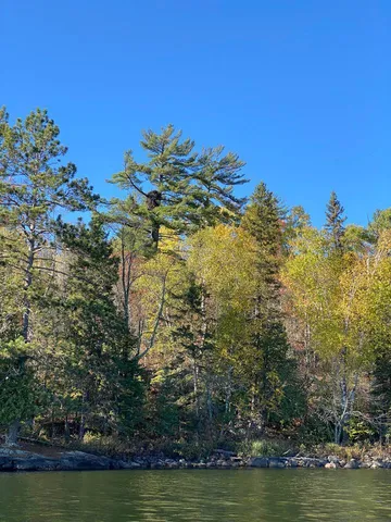 $219,000 | Parcel B Parcel B Norwegian Bay Street North, Orr, MN 55771