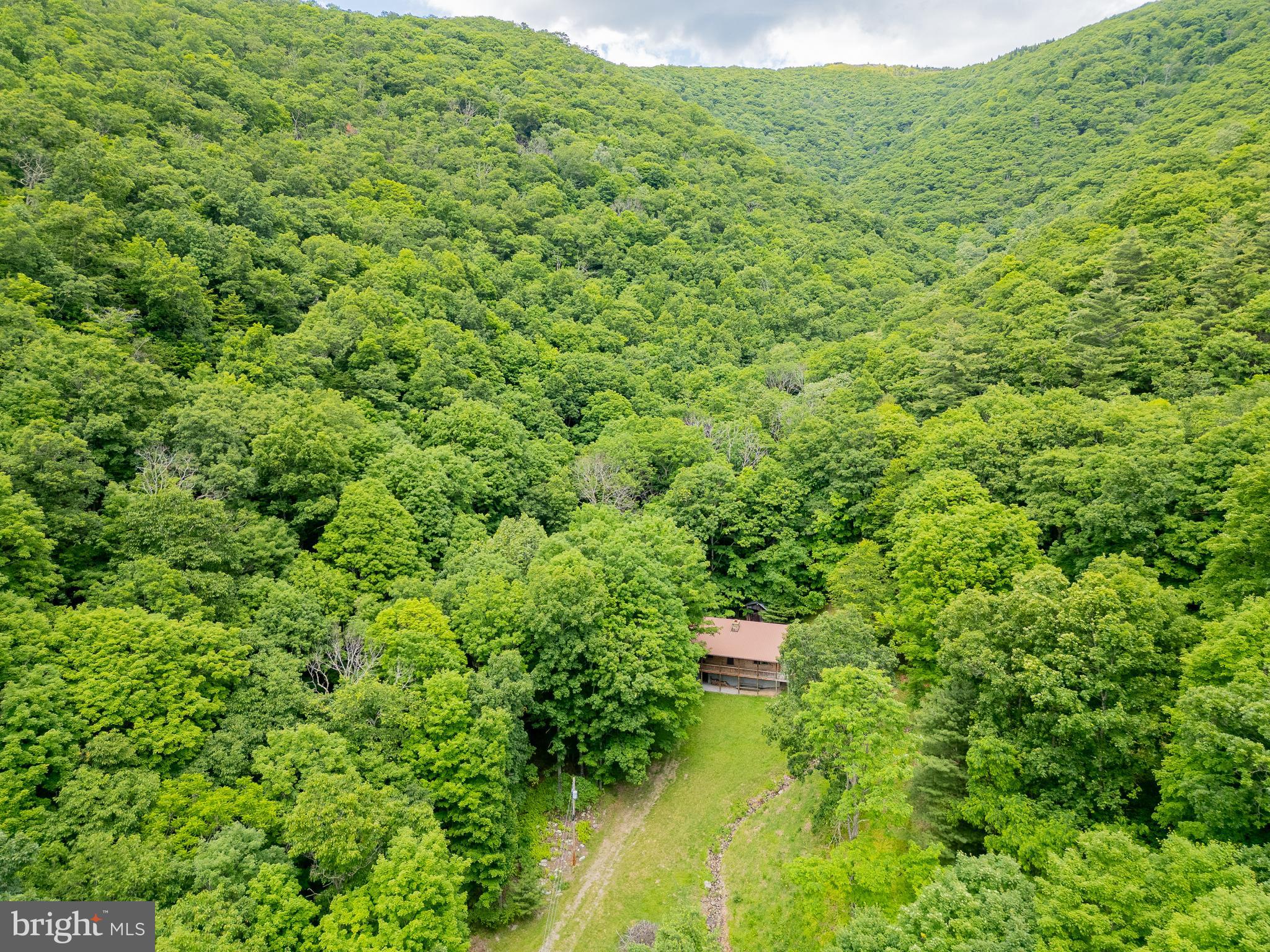 1862 Hawbush Road Circleville, WV 26804 - Photo 16 of 83