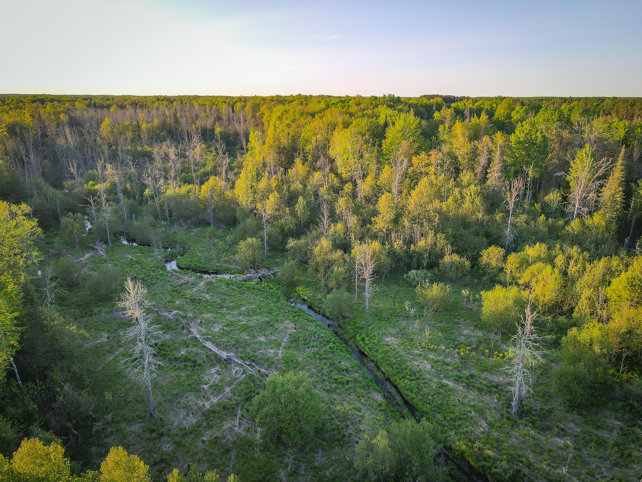 V/l V/l 33rd Road Perkins, MI 49872 - Photo 13 of 70 DJI_0174