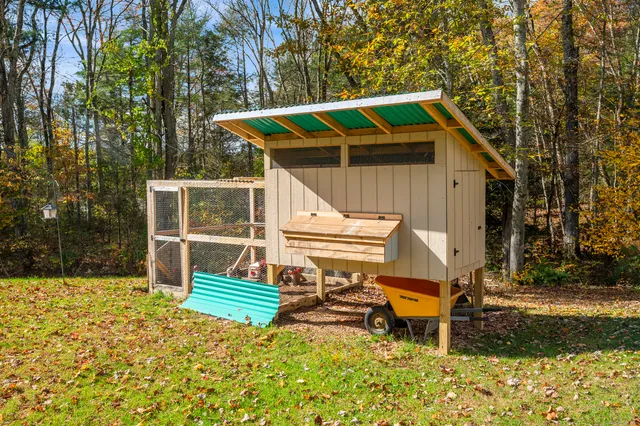 a view of a backyard with plants