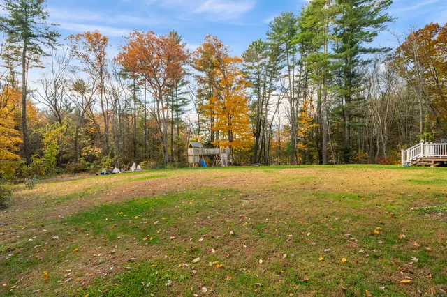 a view of yard with trees