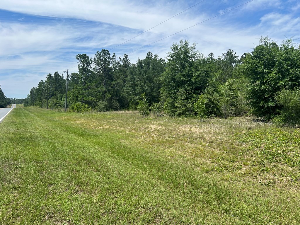 Lot 30 Fairview Road Marianna, FL 32448 - Photo 12 of 30
