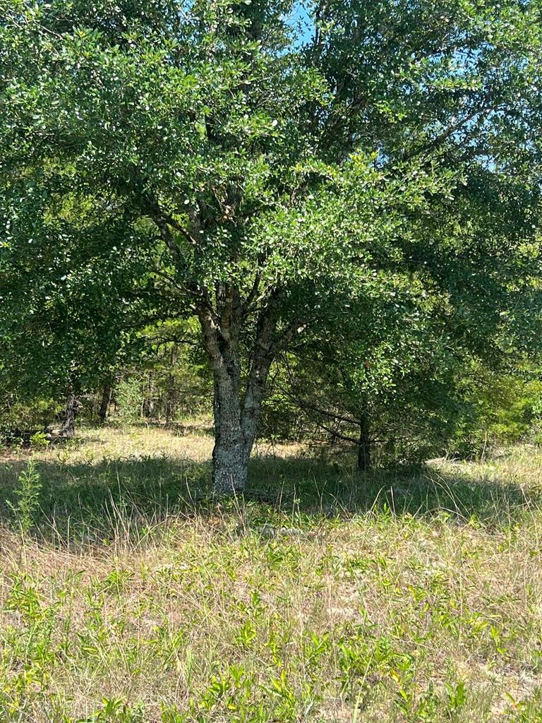 Lot 30 Fairview Road Marianna, FL 32448 - Photo 16 of 30