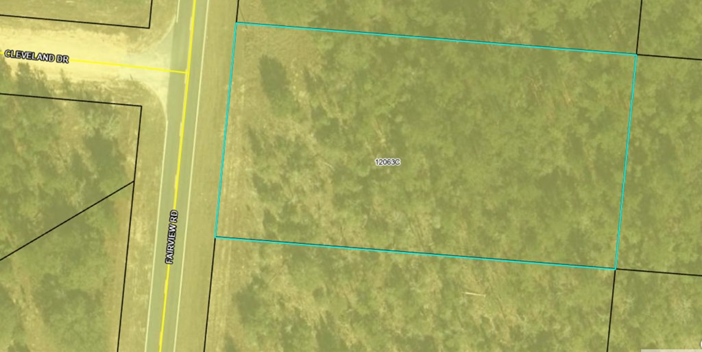 Lot 30 Fairview Road Marianna, FL 32448 - Photo 20 of 30