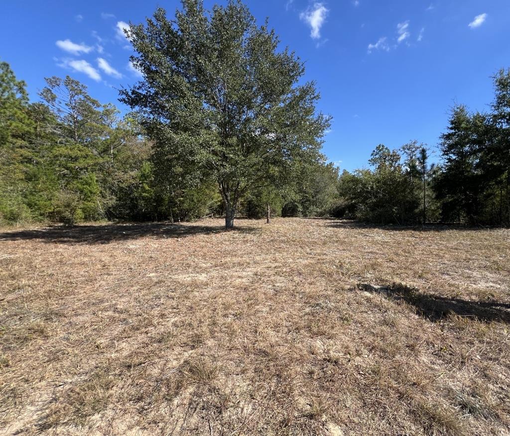 Lot 30 Fairview Road Marianna, FL 32448 - Photo 2 of 30